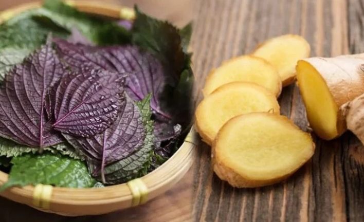 Bài thuốc giải cảm từ lá tía tô nấu với gừng đơn giản nhưng hiệu quả