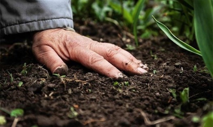 Nam công nhân lái máy xúc nhiễm 'vi khuẩn ăn thịt người'