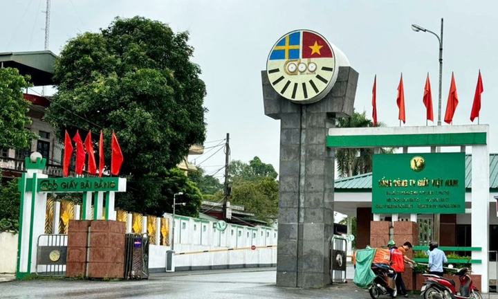 Thanh tra việc quản lý, sử dụng đất tại các công ty thuộc Tổng công ty Giấy