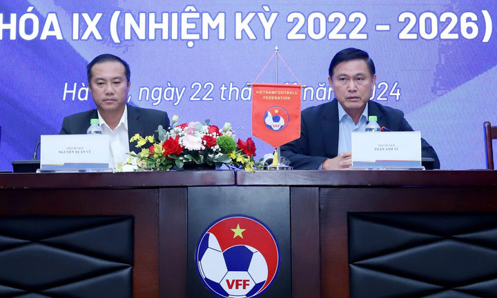 VFF có lãi trong năm 2024
