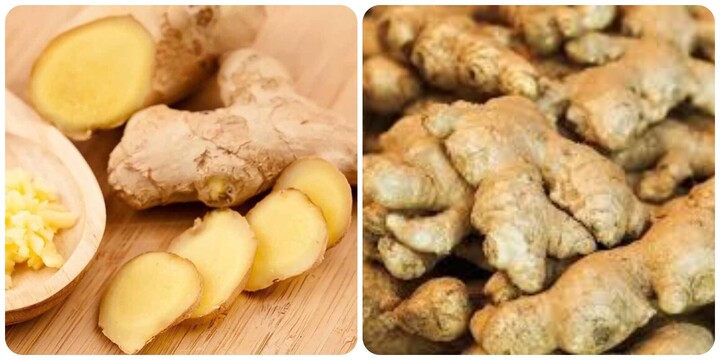 Tác dụng việc ăn gừng cả vỏ