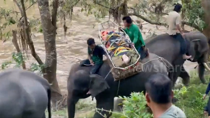 'Đội cứu hộ' chuyên nghiệp giúp người mắc kẹt trên núi ở Thái Lan 