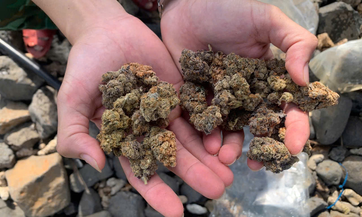 17 túi nylon chứa thảo mộc khô nghi ma túy trôi dạt vào bờ biển Quảng Ngãi