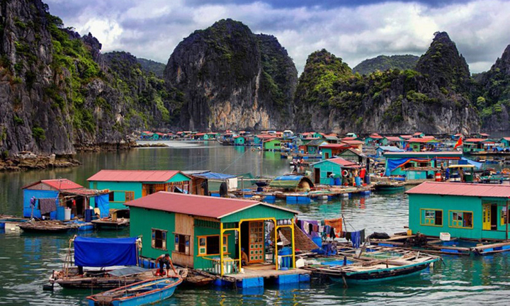 Khám phá những làng chài hút khách ở Vịnh Hạ Long