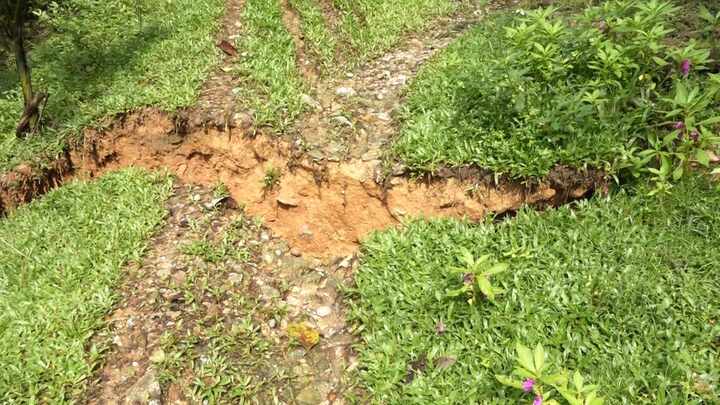 Xuất hiện loạt vết nứt, di dời khẩn cấp cả chục hộ dân ở miền núi của Quảng Nam