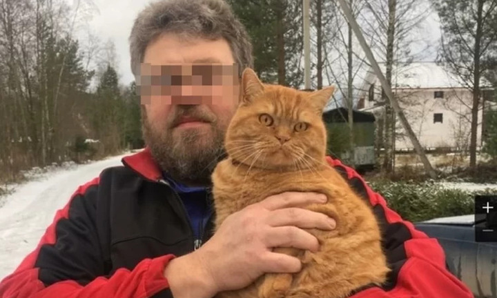 Bị mèo cào, người đàn ông chết vì mất máu