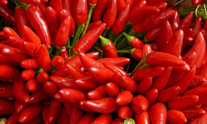 Những lợi ích đáng kinh ngạc của quả ớt
