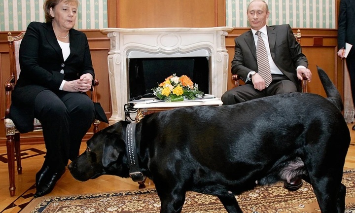 Ông Putin xin lỗi cựu Thủ tướng Đức Merkel