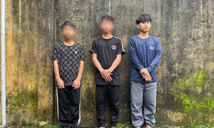 3 thanh thiếu niên trộm hơn 200 gốc sâm Ngọc Linh