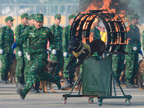 Đặc công, máy bay, quân khuyển hợp luyện chuẩn bị khai mạc Triển lãm Quốc phòng