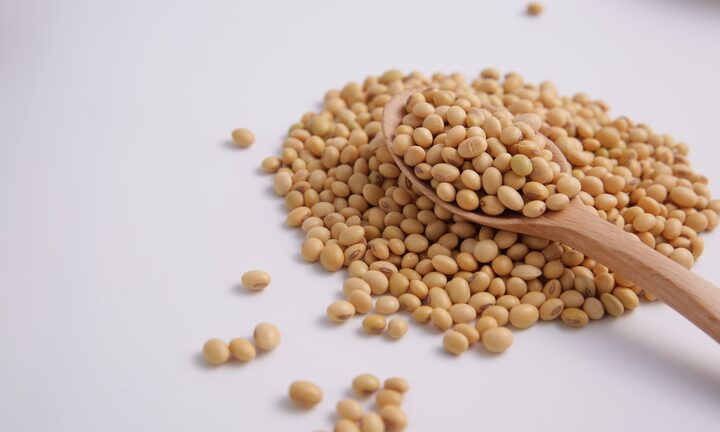 Đậu tương chữa bệnh gì?