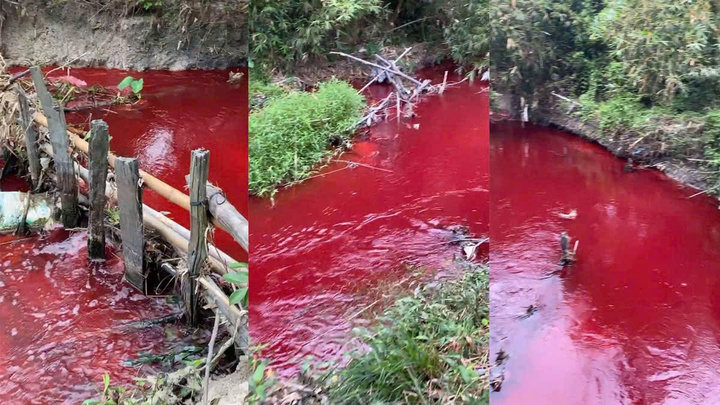 Nước suối ở Bình Phước chuyển màu đỏ
