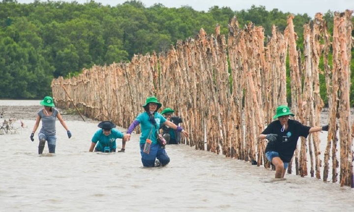 'Bỏ túi' lịch trình khám phá Cà Mau 2 ngày cuối tuần