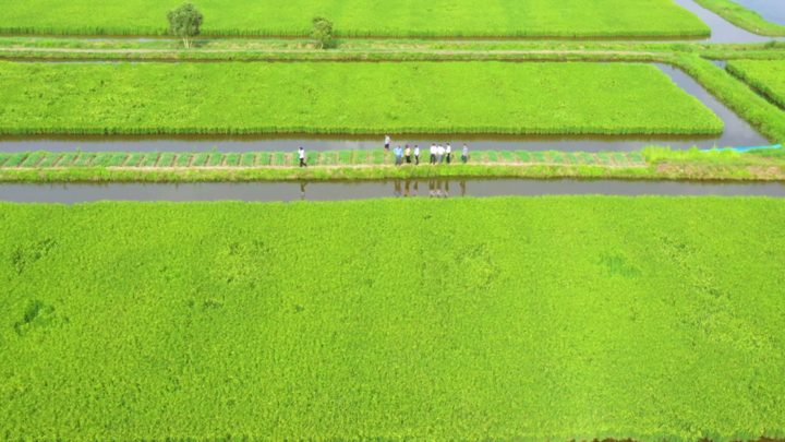 Giảm phát thải khí mê-tan: Yếu tố quyết định để ứng phó với biến đổi khí hậu