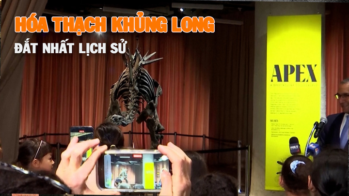 Cận cảnh hóa thạch khủng long đắt nhất lịch sử có tuổi đời hơn 150 triệu năm