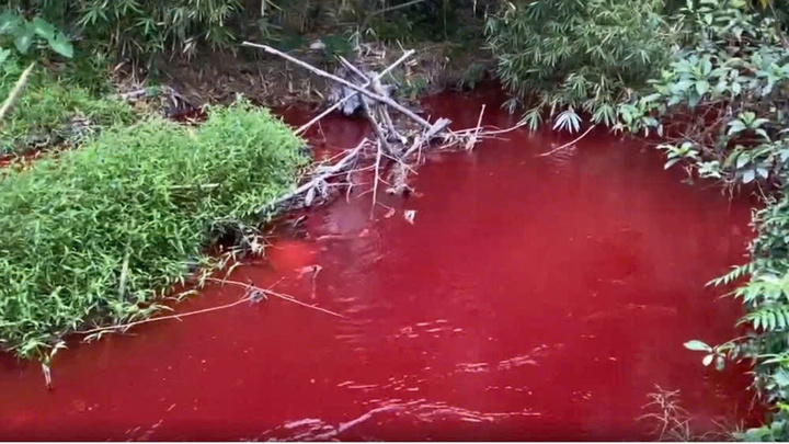Nguyên nhân nước suối ở Bình Phước chuyển màu đỏ