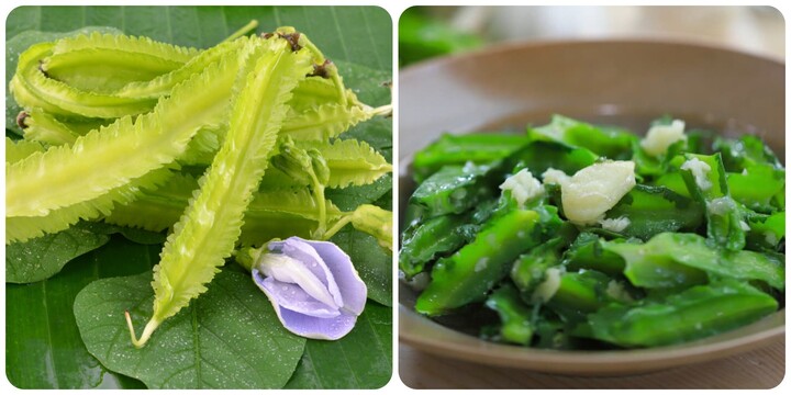 Ăn đậu rồng thường xuyên có tốt?