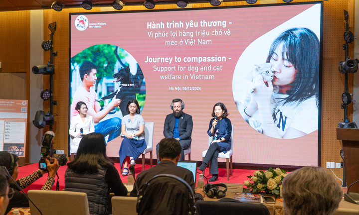 Hội An có tiềm năng trở thành thành phố du lịch thú cưng