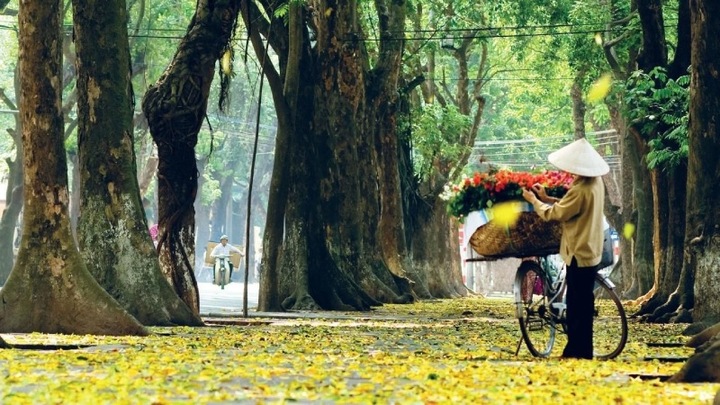 Mùa Thu Hà Nội có gì hấp dẫn du khách?