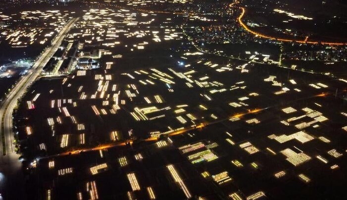 Chong đèn xuyên đêm, bắt hoa nở trúng Tết: 'Thủ phủ' hoa Hà Nội huyền ảo hút mắt