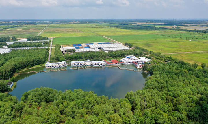 'Review' cánh đồng lúa '5 Không' tại trang trại Green Farm lớn nhất của Vinamilk