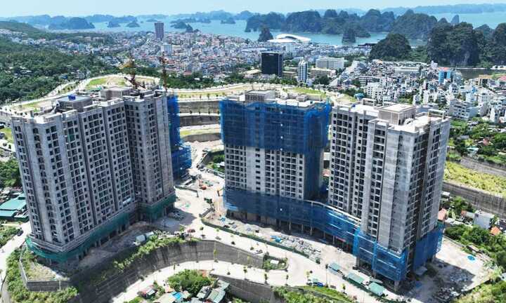 Thủ tướng: Đấu thầu lựa chọn nhà đầu tư có tiềm lực xây nhà ở xã hội