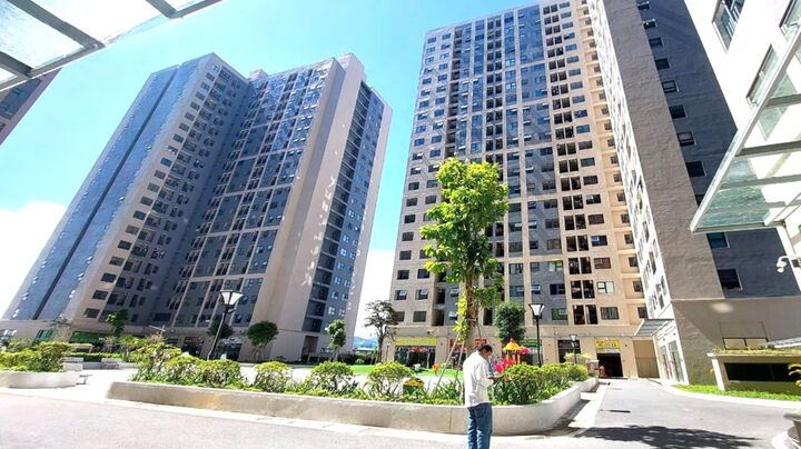 Chủ tịch Đà Nẵng đề nghị cán bộ có ô tô cần trả lại chung cư thuê của Nhà nước