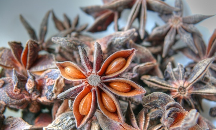 Hóa ra đây là lý do hoa hồi được coi là 'báu vật trời ban'