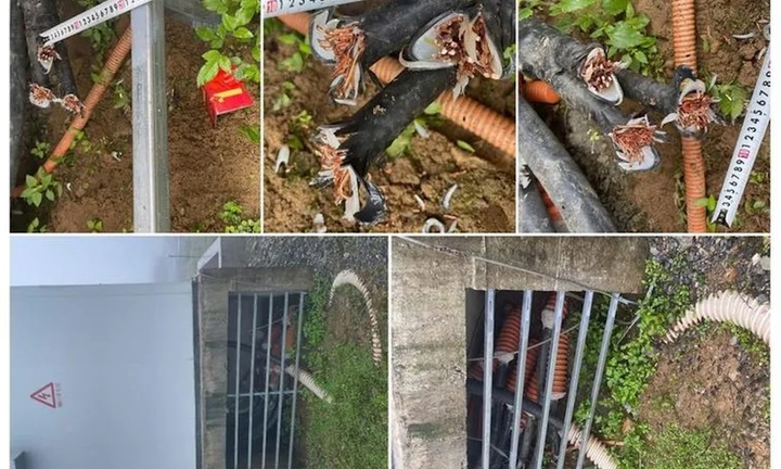 Bắt 2 thanh thiếu niên chuyên trộm dây cáp tại dự án điện gió 