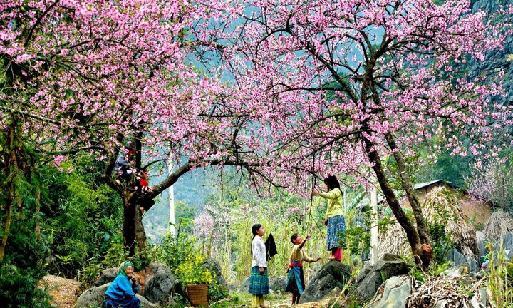 Độc đáo ngày Tết sớm hơn cả nước một tháng của người Mông nơi cuối trời Tây Bắc