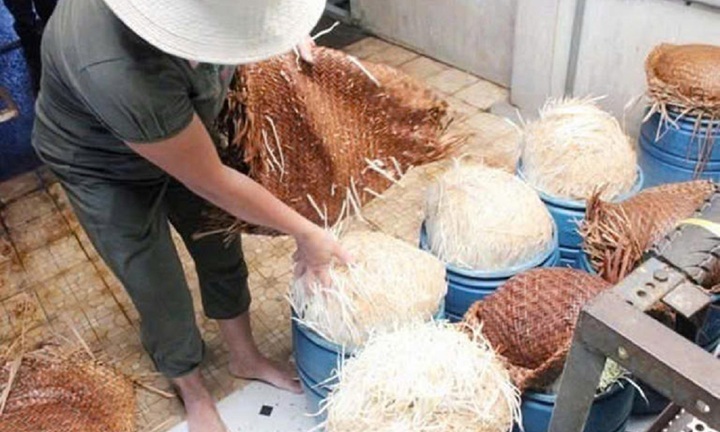 Cơ sở cung cấp giá đỗ ủ hóa chất cho Bách Hóa Xanh mới thành lập gần 1 năm