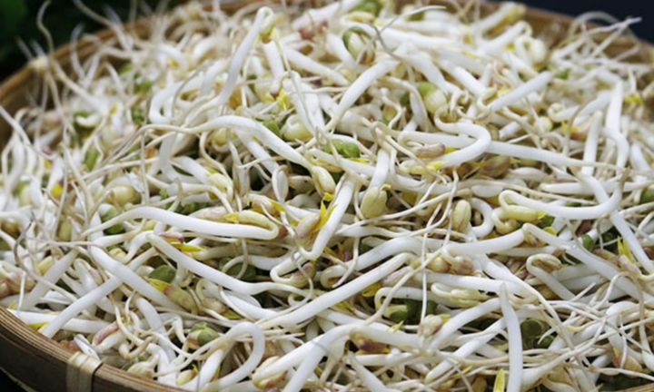 'Nước kẹo' dùng làm 'phụ gia' cho 2.900 tấn giá đỗ nguy hiểm thế nào? 