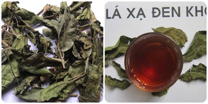 Những người nên uống nước xạ đen thường xuyên