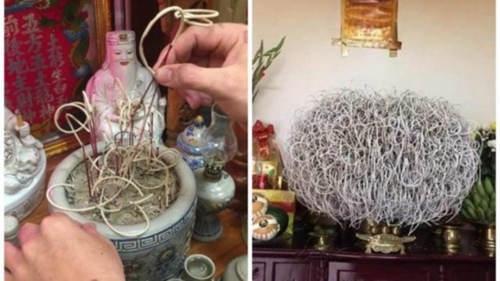 Tỉa chân hương cuối năm vào ngày nào?