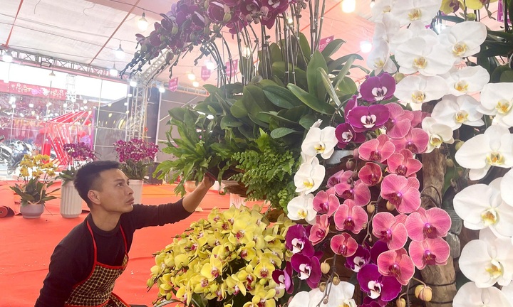 Kiếm hàng trăm triệu đồng/tháng - nghề hốt bạc dịp Tết mỗi năm chỉ có 1 lần