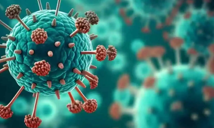 Sở Y tế TP.HCM: HMPV không phải là virus mới, từng được phát hiện ở Việt Nam