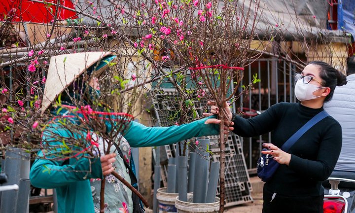 Dự báo thời tiết Tết Nguyên đán Ất Tỵ 2025