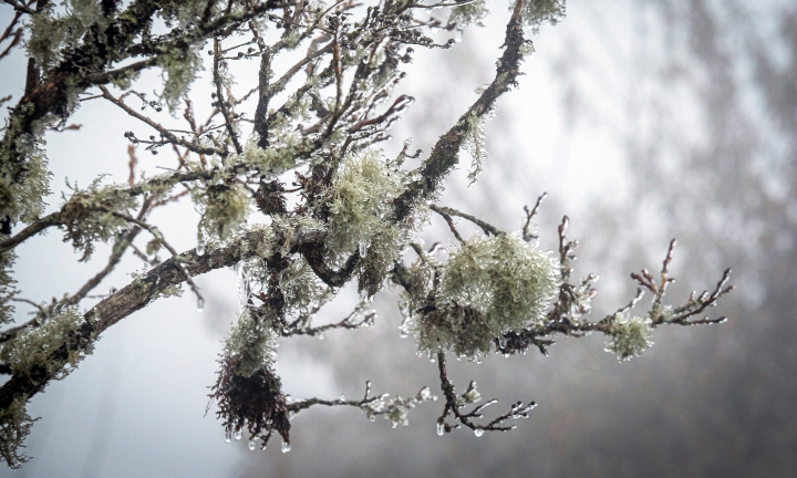 Tuần tới miền Bắc đón không khí lạnh tăng cường, trời rét kéo dài