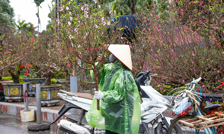 Dự báo thời tiết 10 ngày tới: Hà Nội rét nhất 9 độ C, mưa nhỏ ngày giáp Tết
