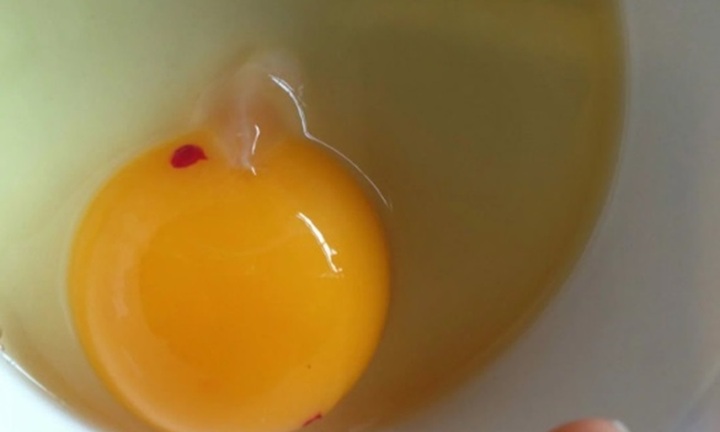 Đập trứng gà thấy vệt màu đỏ hay trắng đục, nên ăn hay bỏ đi?