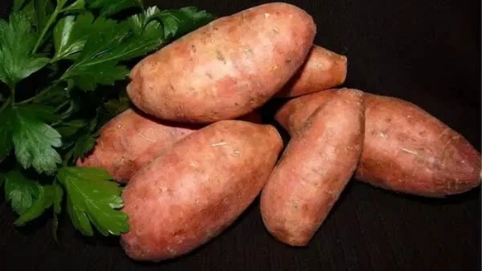 Một loại củ là 'mỏ vàng' dinh dưỡng được bác sĩ khuyên dùng