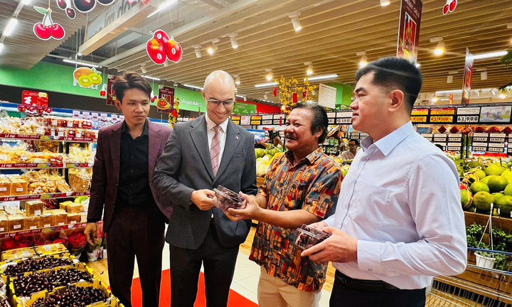 100 tấn cherry Chile tươi vào Co.opmart, Co.opXtra đón Tết Việt