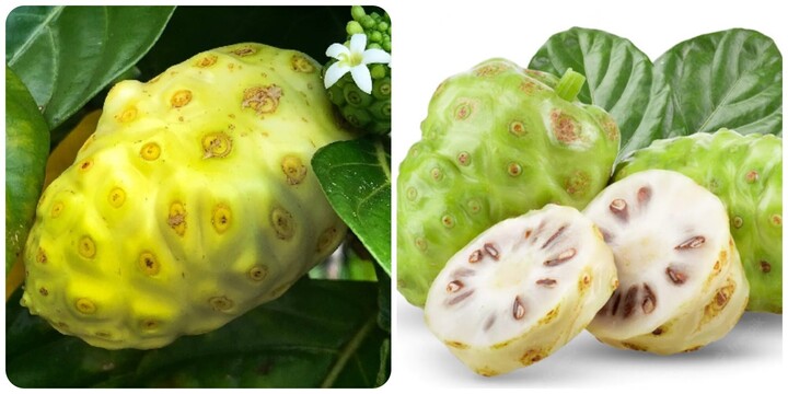 Những người nên hạn chế ăn quả nhàu