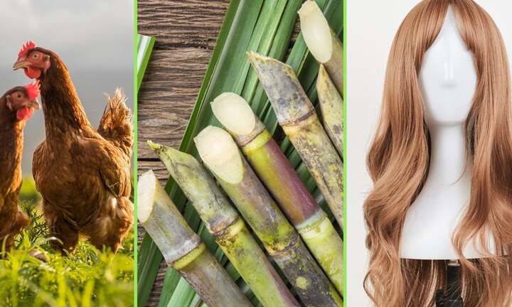 Công ty ở Trung Quốc tặng mía, tóc giả làm quà Tết cho nhân viên 