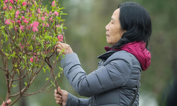 Dự báo thời tiết ngày 20/1: Miền Bắc nắng hanh, cao nhất có nơi trên 24°C