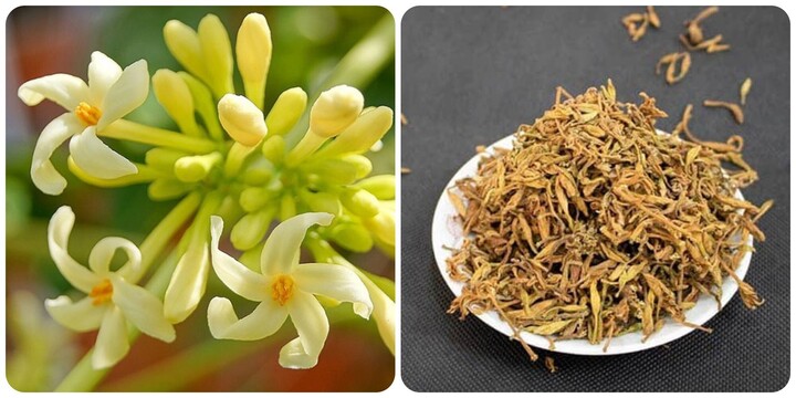 Uống mật ong ngâm hoa đu đủ đực mỗi sáng có tác dụng gì?