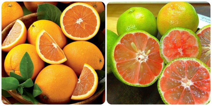 8 món ăn thanh lọc cơ thể trong dịp Tết