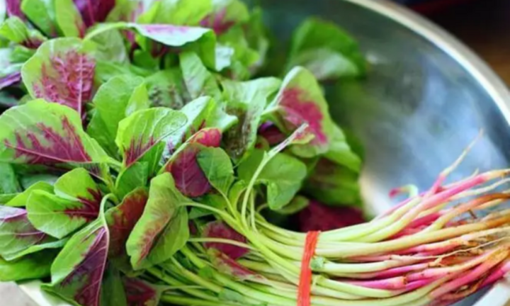 6 lý do nên thường xuyên ăn rau dền