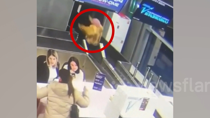 Lên nhầm băng chuyền, cụ bà bị cuốn vào khu vực hành lý