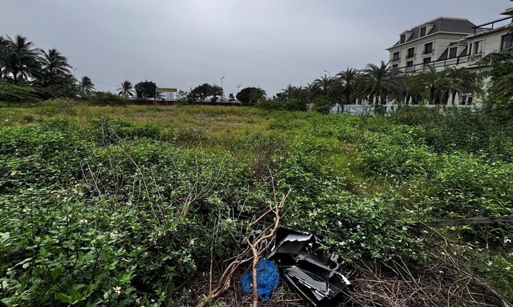 Đã có thông báo thu hồi đất, có được mua bán nữa không?